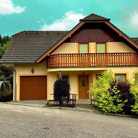 Villa Slupecna Lipno nad Vltavou Buitenkant foto